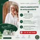 Fejér megye - Székesfehérvár